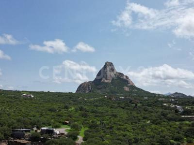 Carretera Bernal-Queretaro Km 100- 37 500,, Ezequiel Montes, ولاية كويريتارو 76680, المكسيك