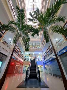 Lechería, Anzoategui 6016, Venezuela