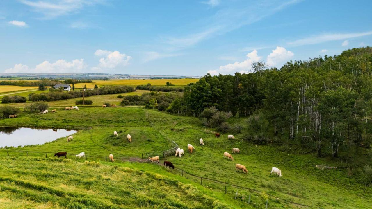 402 AVENUE, Rural Foothills County, Alberta T1V 2E0, Canada