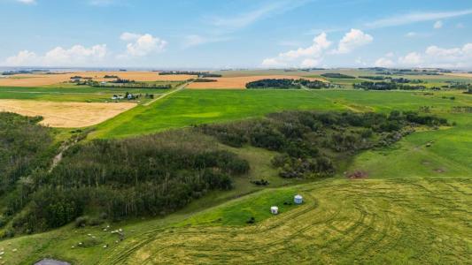 402 AVENUE, Rural Foothills County, Alberta T1V 2E0, Canada