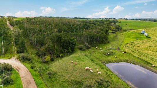402 AVENUE, Rural Foothills County, Alberta T1V 2E0, Canada
