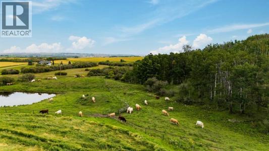 0 402 AVENUE, Rural Foothills County, Alberta T1V 2E0, Canada