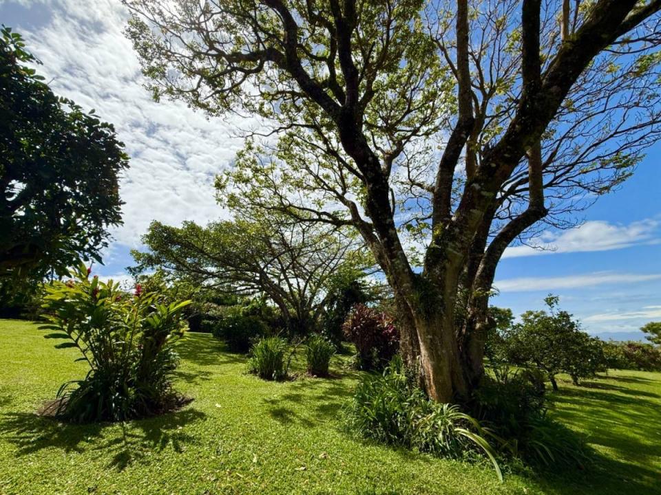  , San José San Isidro, Heredia 40602, Costa Rica