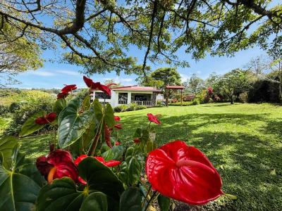  , San José San Isidro, Heredia 40602, Costa Rica