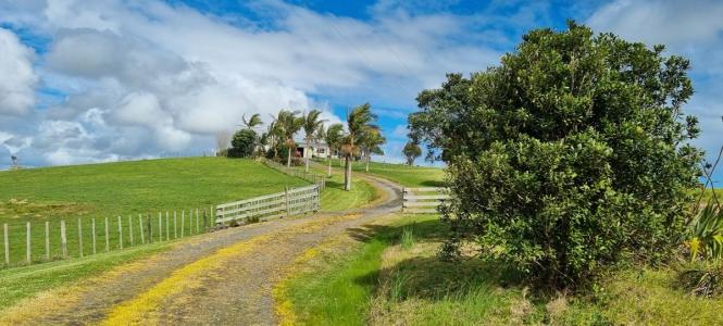 292 Bradleys Landing East Road,, Dargaville, Kaipara District 0310, 新西兰