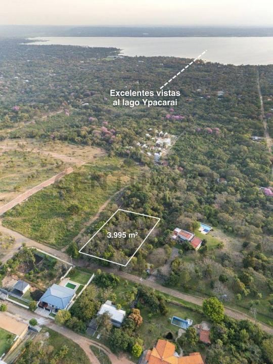 Jacaranda & Wenceslao Lopez , San Bernardino, Cordillera 00001, Paraguay