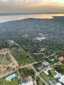 Jacaranda & Wenceslao Lopez , San Bernardino, Cordillera 00001, Paraguay