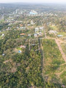 Jacaranda & Wenceslao Lopez , San Bernardino, Cordillera 00001, Paraguay