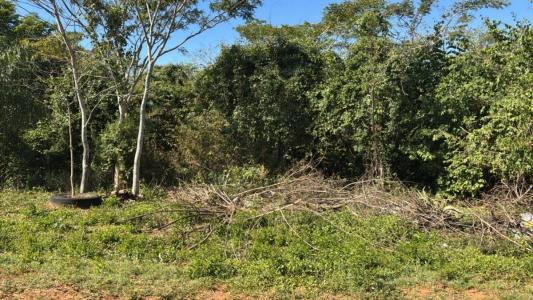 Lugar denominado Pindolo , Areguá, Central 00001, Paraguay