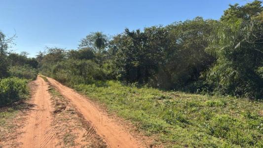 Lugar denominado Pindolo , Areguá, Central 00001, Paraguay