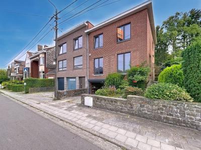 Rue du Transvaal 149, Couillet, Belgique