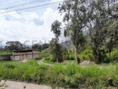 La Grita, Táchira 5001, Venezuela