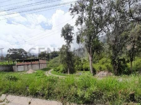 La Grita, Táchira 5001, 委内瑞拉