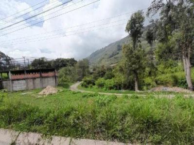 La Grita, Táchira 5001, 委内瑞拉