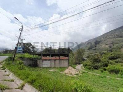 La Grita, Táchira 5001, 委内瑞拉