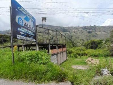 La Grita, Táchira 5001, 委内瑞拉