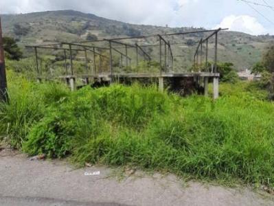 La Grita, Táchira 5001, 委内瑞拉