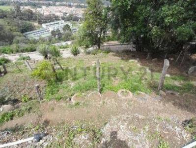 La Grita, Táchira 5001, Venezuela