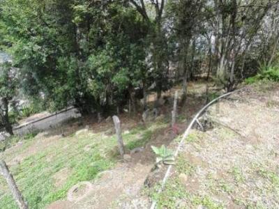 La Grita, Táchira 5001, Venezuela