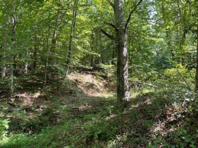 Lot 2 Findlay Gap Drive, Wingina, Virginia 24599, HOA KỲ