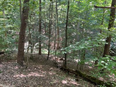 Lot 2 Findlay Gap Drive, Wingina, Virginia 24599, HOA KỲ