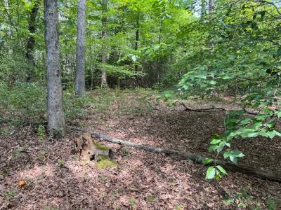 Lot 2 Findlay Gap Drive, Wingina, Virginia 24599, HOA KỲ