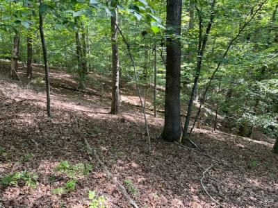 Lot 2 Findlay Gap Drive, Wingina, Virginia 24599, HOA KỲ