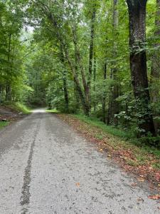 2629 Jernigans Branch Rd, Beechgrove, Tennessee 37018, USA