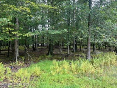 31-32 Lenape Drive, East Stroudsburg, Pennsylvania 18302, Amerika Birleşik Devletleri