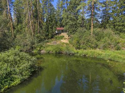 19228 N Little Spokane Dr, Colbert, Вашингтон 99005, Соединенные Штаты