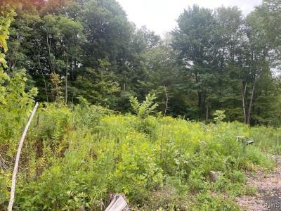 5745 State Route 104, Scriba, New York 13126, Stati Uniti