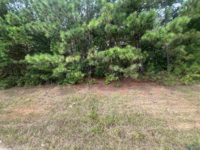 3610 Elysian Fields Avenue, Marshall, Texas 75672, Stati Uniti