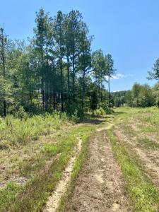 Lot 10 Private Road 3629, Lamar, Arkansas 72846, États-Unis