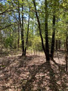 Lot 10 Private Road 3629, Lamar, Arkansas 72846, États-Unis