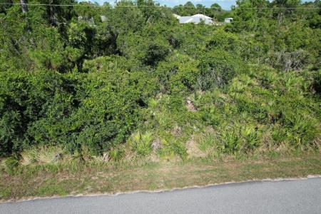 217 Boren Avenue, Lake Placid, Floride 33852, États-Unis