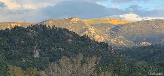 10795 County Road 197a, Nathrop, Colorado 81236