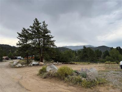 10795 County Road 197a, Nathrop, Colorado 81236