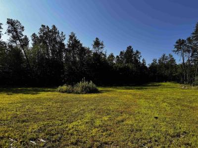 Lots 13 & 14 Bass Lake Lane, Lyndon Station, Wisconsin 53944