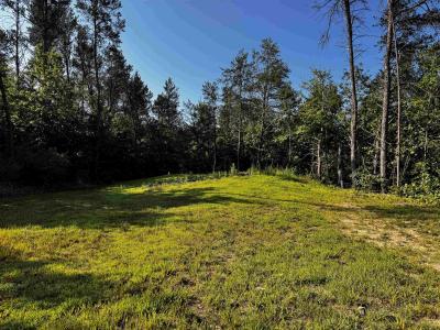 Lots 13 & 14 Bass Lake Lane, Lyndon Station, Wisconsin 53944