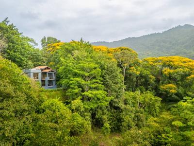  , Bahía Ballena Osa, Puntarenas 00001, Costa Rica