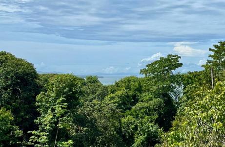  , Bahía Ballena Osa, Puntarenas 00001, Costa Rica