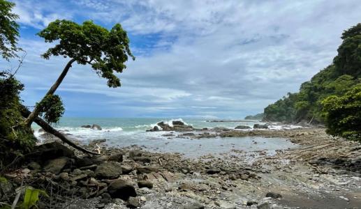  , Bahía Ballena Osa, Puntarenas 00001, Costa Rica