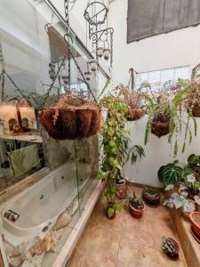 Guachipelin , San Rafael Escazú, San José 00001, كوستاريكا 