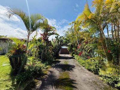 San Isidro San Isidro, Эредия 40601, Коста-Рика