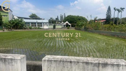 頂豐段, Tianwei Township, Changhua County 522, Taiwan