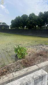 頂豐段, Tianwei Township, Changhua County 522, Taiwan