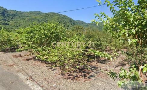 淋漓坑段, Dongshan Township, Yilan 269, Taïwan