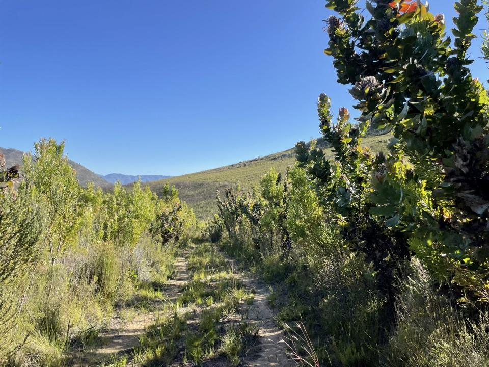 Joubertina, Eastern Cape, South Africa