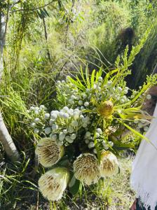 Joubertina, Eastern Cape, South Africa