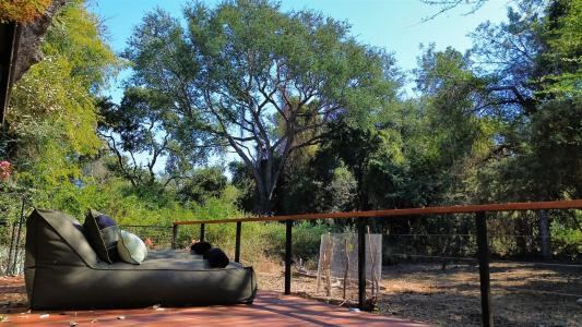 Hoedspruit, Limpopo, דרום אפריקה